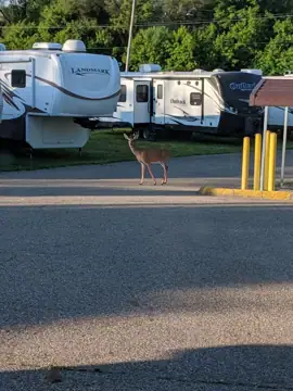 Battle Creek RV Sales photo 3