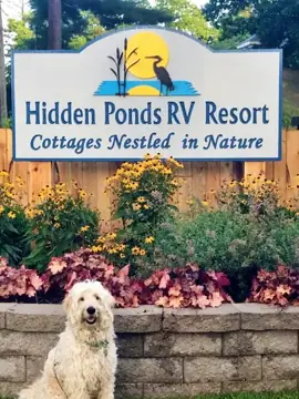 Hidden Ponds RV Resort photo 3