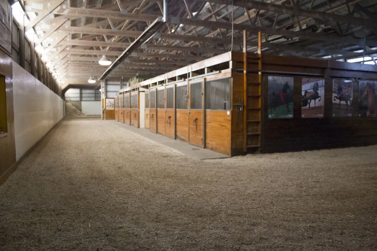 Triumph Stables and Triumph RV Rental, RV dealers in Roanoke